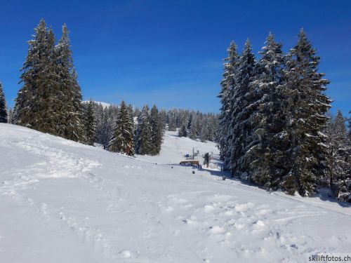 20190204-stecroix-lesrasses-125.jpg