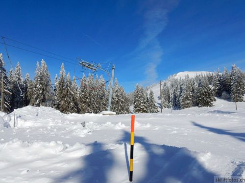 20190204-stecroix-lesrasses-135.jpg