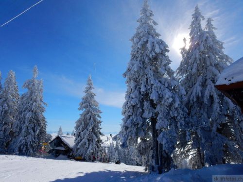 20190204-stecroix-lesrasses-136.jpg
