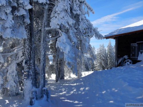 20190204-stecroix-lesrasses-137.jpg