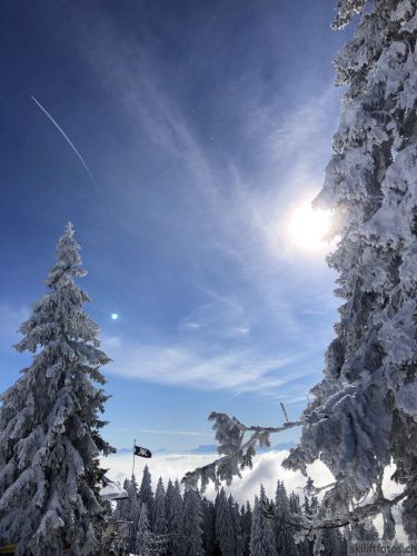20190204-stecroix-lesrasses-139.jpg