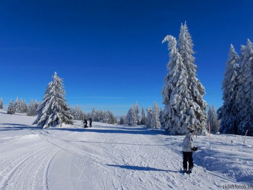20190204-stecroix-lesrasses-147.jpg