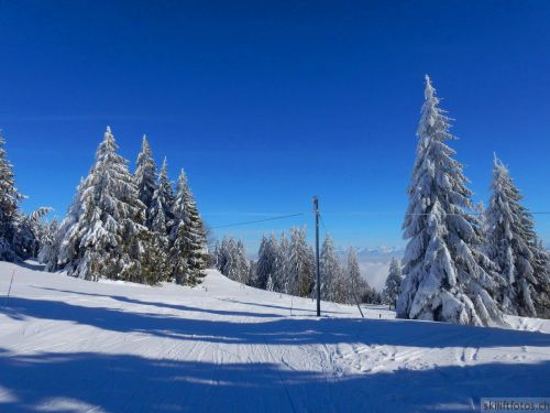 20190204-stecroix-lesrasses-149.jpg