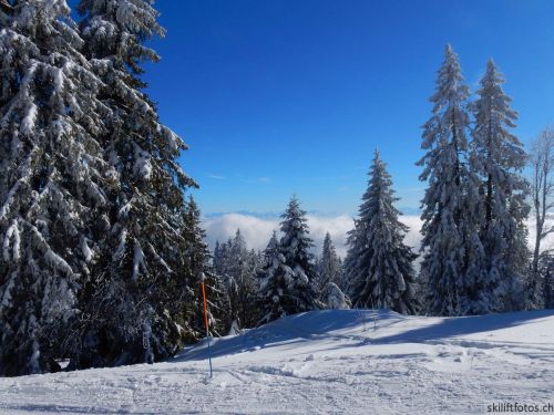 20190204-stecroix-lesrasses-151.jpg