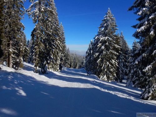 20190204-stecroix-lesrasses-152.jpg