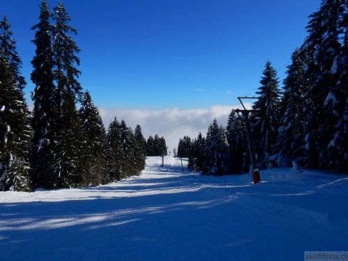 20190204-stecroix-lesrasses-156.jpg