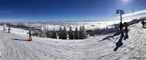 20190204-stecroix-lesrasses-157.jpg
