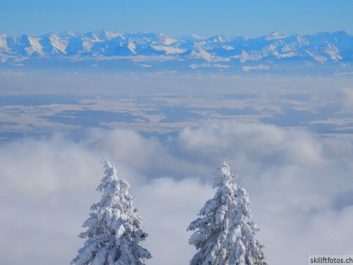 20190204-stecroix-lesrasses-159.jpg