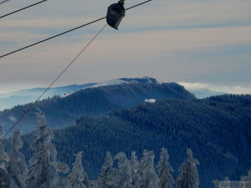20190204-stecroix-lesrasses-162.jpg