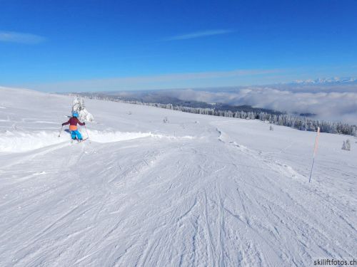 20190204-stecroix-lesrasses-165.jpg