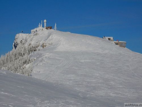 20190204-stecroix-lesrasses-166.jpg