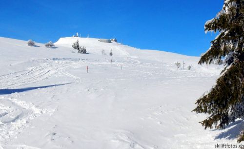 20190204-stecroix-lesrasses-172.jpg