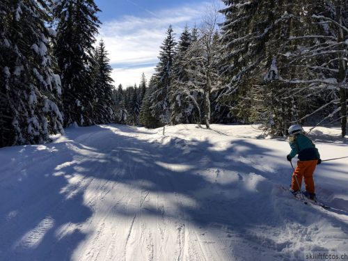 20190204-stecroix-lesrasses-181.jpg