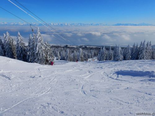 20190204-stecroix-lesrasses-182.jpg