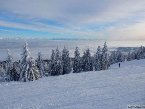 20190204-stecroix-lesrasses-207.jpg