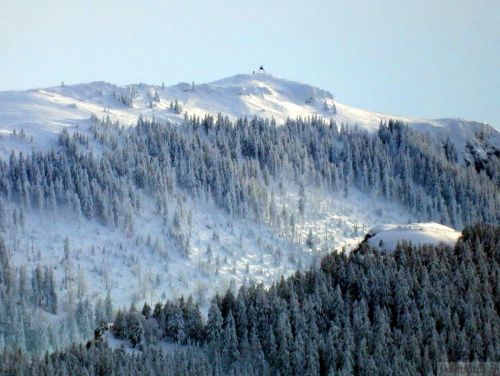 20190204-stecroix-lesrasses-212.jpg