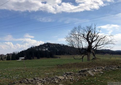 La Corbatière / Roche aux Crocs, 12. April 2020
