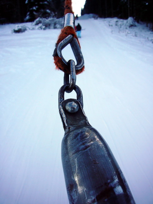 16. Januar 2009
