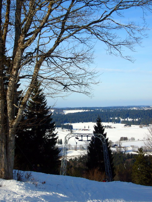 16. Januar 2009
