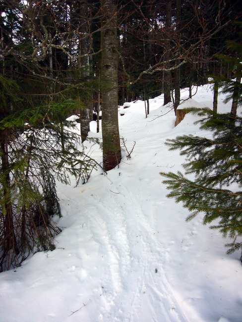 16. Januar 2009
