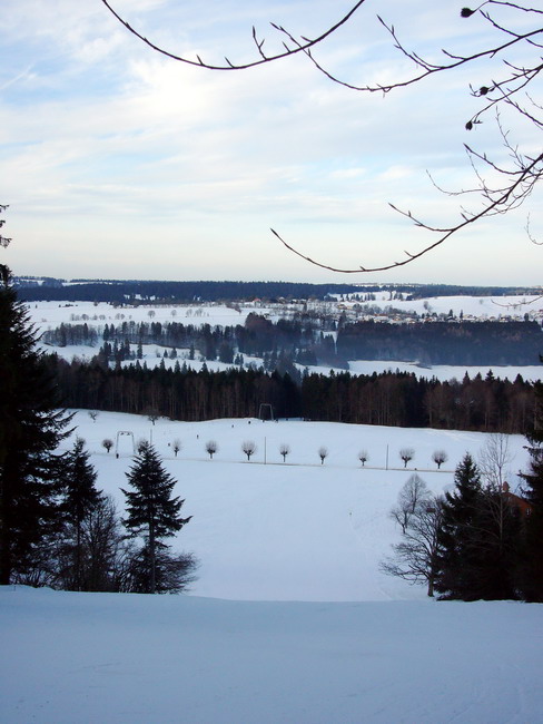 16. Januar 2009

