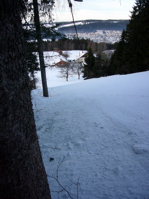 16. Januar 2009

