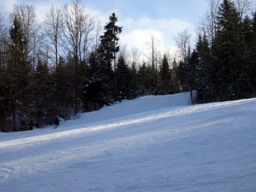 Viele Waldschneisenpisten, sehr romantisch

