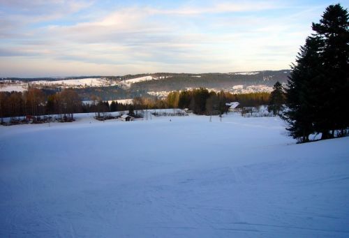 16. Januar 2009
