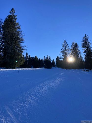 14. Januar 2022
