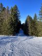 20220114-b-tramelan-7419.jpg