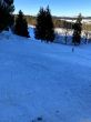 20220114-b-tramelan-7424.jpg