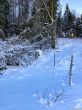 20220114-b-tramelan-7430.jpg