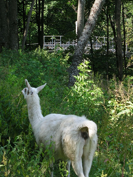 Juli 2005

