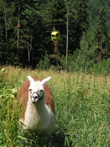 Juli 2005
