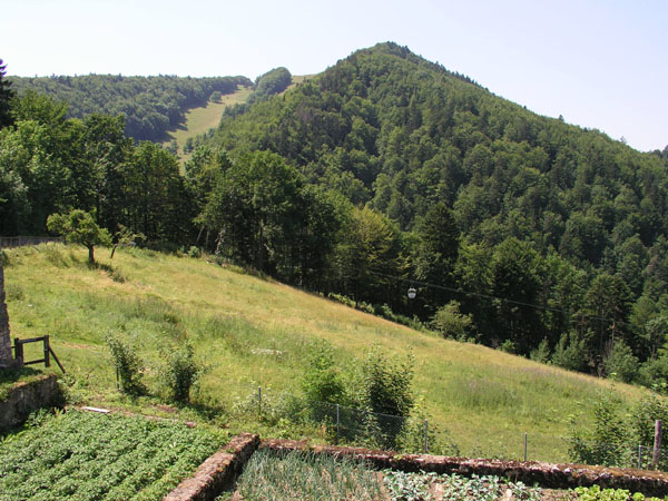 Juli 2005
