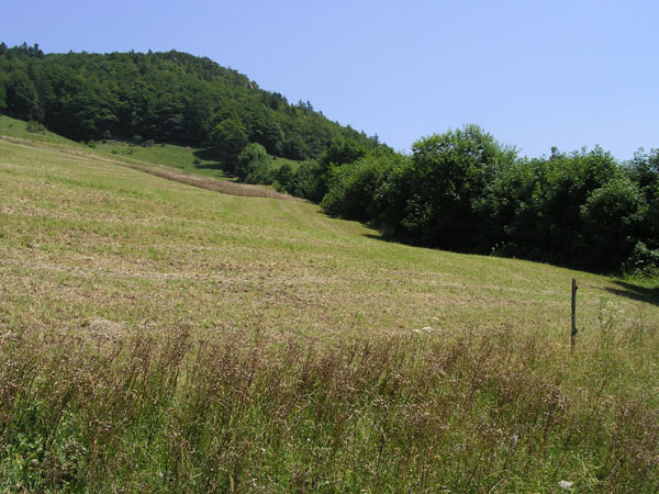 Hier stand von 1969 bis in die später 1980er-Jahre der Borer-Bügellift Chellenchöpfli. Das ehemalige Kassenhäuschen wurde 2005 ebenfalls saniert. Hier einige Ansichten vom alten Trassee; [url=http://www.jacomet.ch/themen/skilift/album/thumbnails.php?album=31]hier sieht man, wie der Lift ausgesehen hat (Bilder von 1983)[/url]. Wer Bilder aus dieser Zeit hat: Ich bin sehr interessiert daran!
