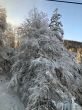 20240112-c-wasserfallen-020.jpg