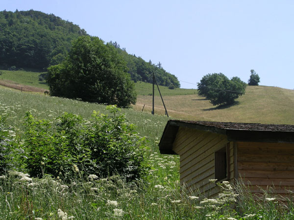 Talstation ehemaliger Skilift Chellenchöpfli, Juli 2005
