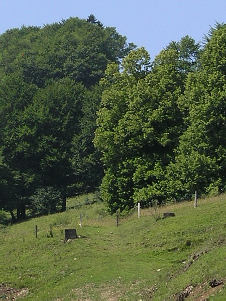 Mastensockel des ehemaligen GMD-Skiliftes Vogelberg, Juli 2005
