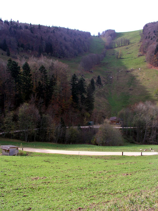 November 2006: Ehemalige Vogelberg-Liftstrecke, Chellenchöpfli-Talstation
