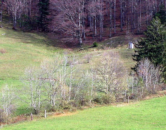 Bergstation LSAP-Skilift Chellenchöpfli: Das Häuschen scheint noch zu stehen...
