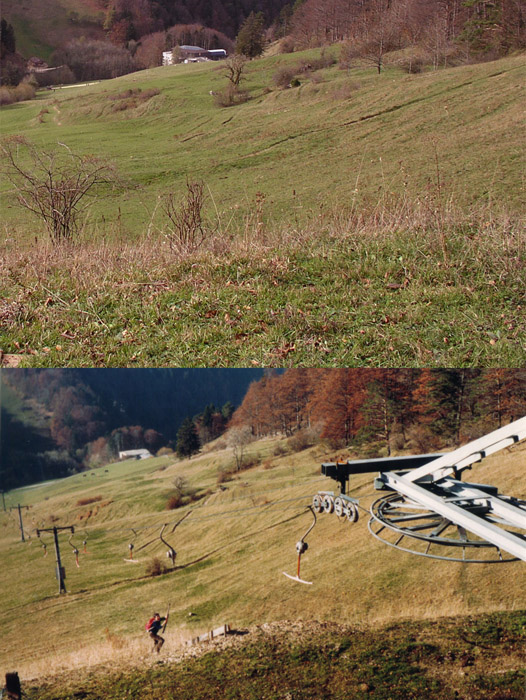 Chellenchöpfli: Vergleich 2006 (oben) und 1983
