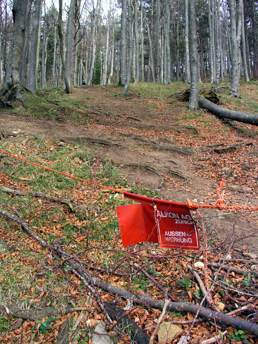 Oberhalb der Bergstation: Das wurde definitiv mal für den Skibetrieb verwendet... (November 2006)
