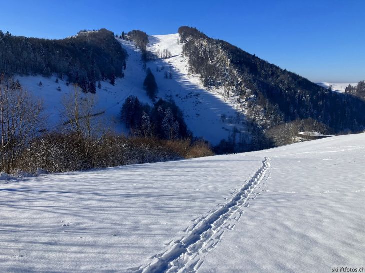 Bereich Ex-Skilift Chellenchöpfli, Sicht zum Vogelberg, 12. Januar 2024

