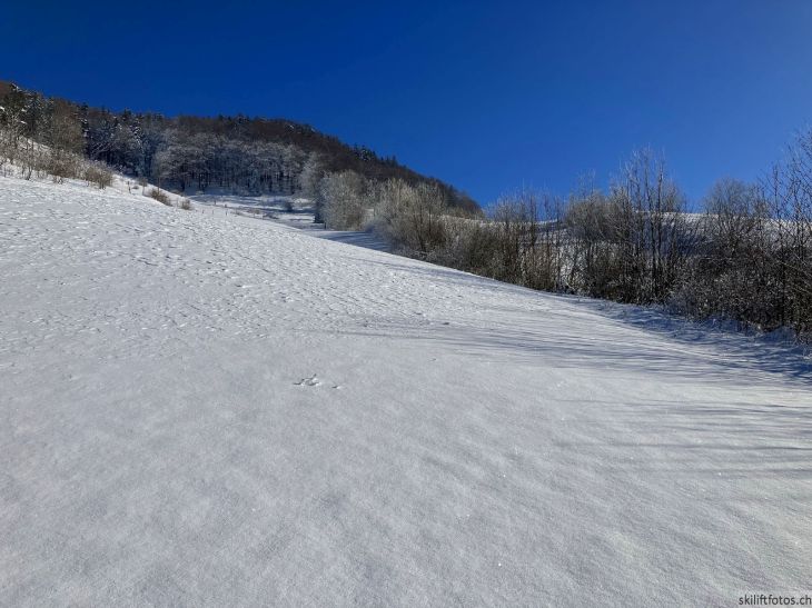 Bereich Ex-Skilift Chellenchöpfli, 12. Januar 2024

