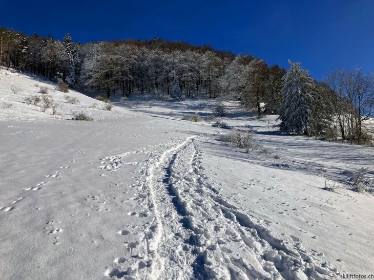 Bereich Ex-Skilift Chellenchöpfli, 12. Januar 2024
