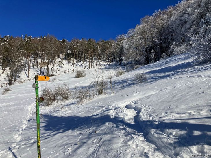 Bereich Ex-Skilift Chellenchöpfli, 12. Januar 2024
