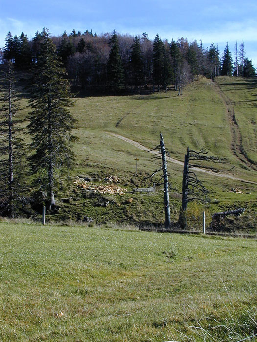 Oktober 2000 - Trassee des alten Borer-Skiliftes, der hier mal stand
