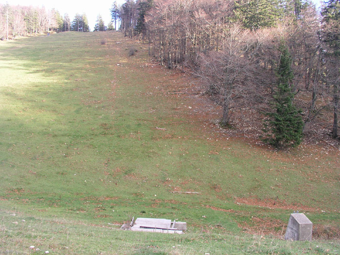 3. November 2006
