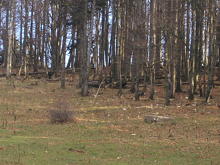 Stütze des LSAP-Borer-Liftes

